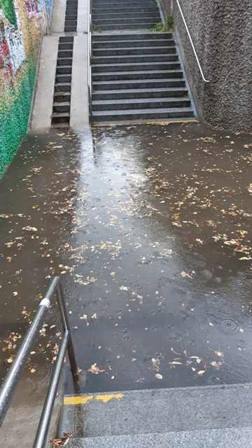 20210815_185207 groß.jpg